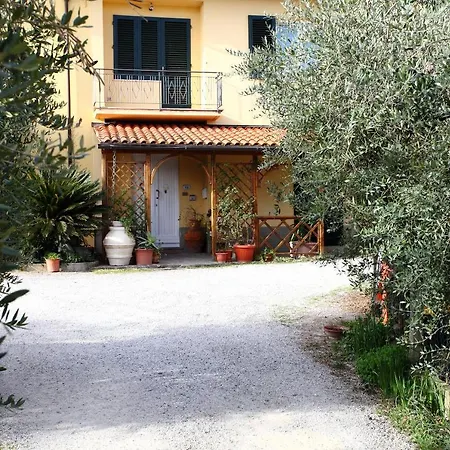 La Casa Di Alfredo Gavena